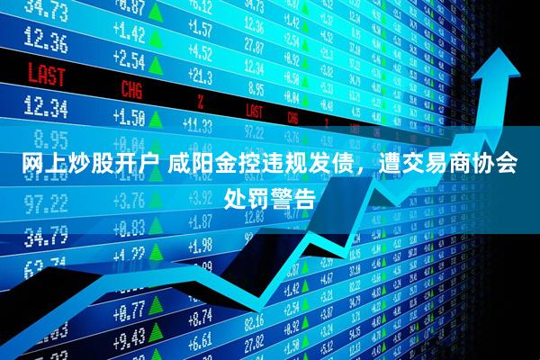 网上炒股开户 咸阳金控违规发债，遭交易商协会处罚警告
