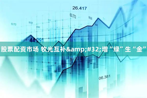 股票配资市场 牧光互补 增“绿”生“金”