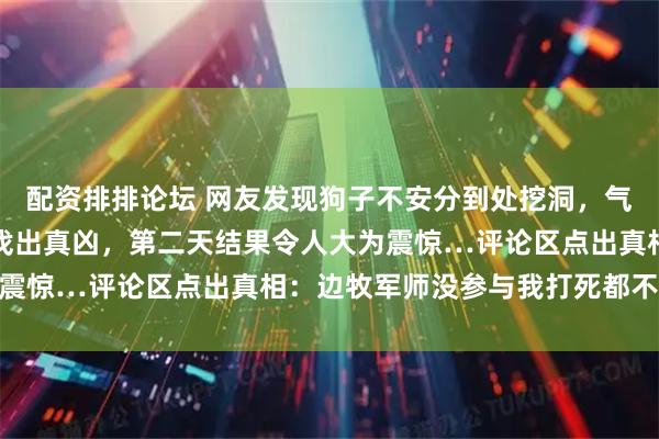 配资排排论坛 网友发现狗子不安分到处挖洞，气得直接往洞内注水誓要找出真凶，第二天结果令人大为震惊…评论区点出真相：边牧军师没参与我打死都不信…